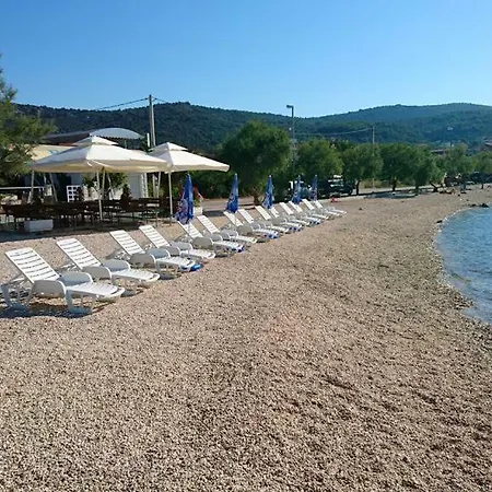 Sunny Vinisce